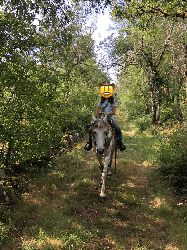 Bon cadeau balade à cheval ( Escapade Equestre)