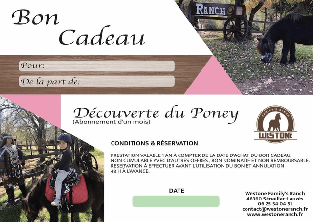 Bon cadeau Découverte du Poney