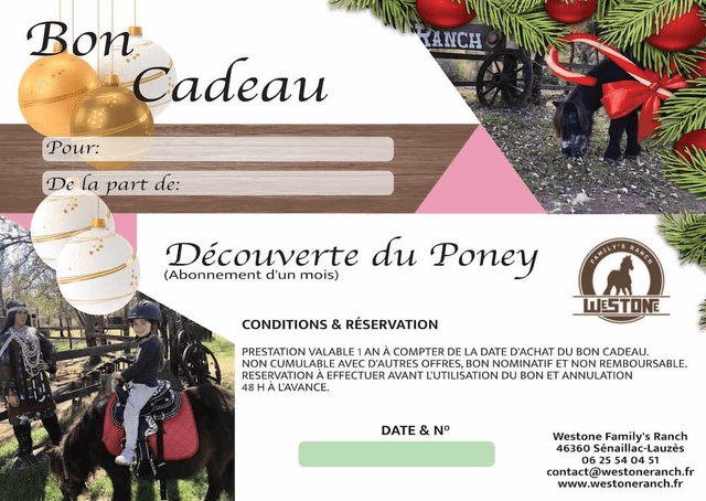 Bon cadeau Découverte du Poney